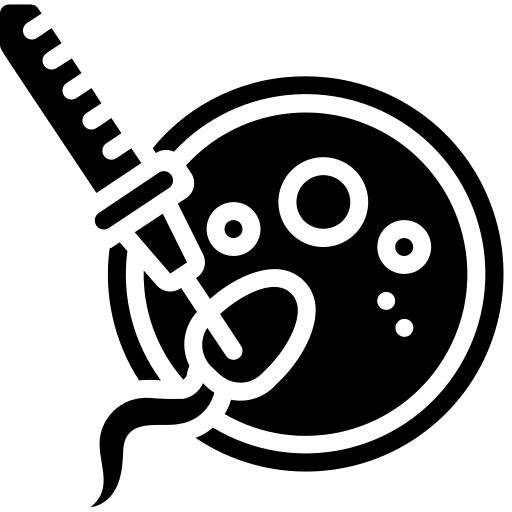 IVF (In Vitro Fertilization)
